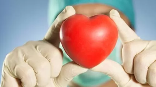 kalp sağlığı maya