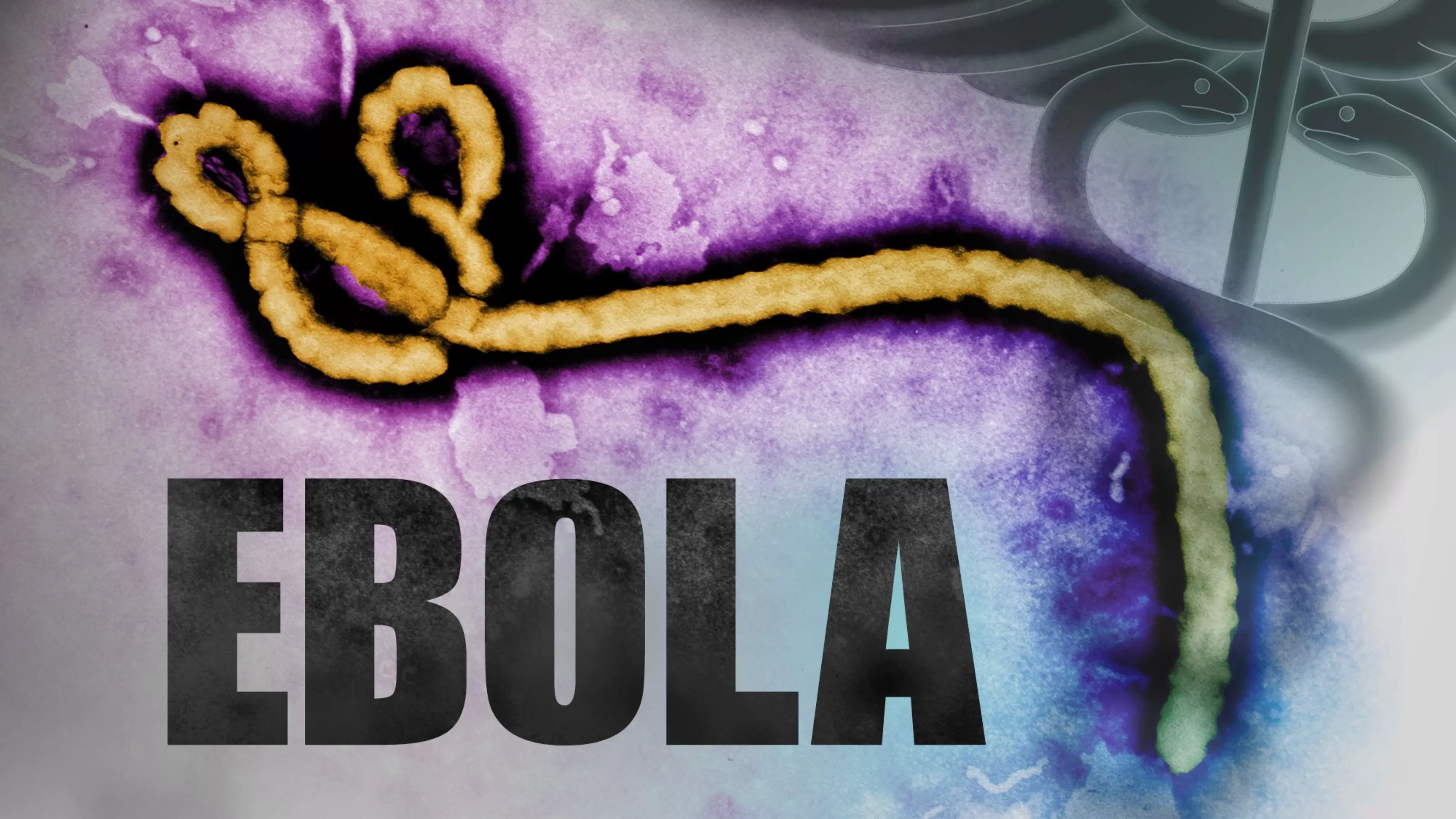 Ebola Virüs Hastalığı (EVH) ve Ebola Virüsü Nedir?