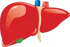 Karaciğerimizi Nasıl Koruruz?