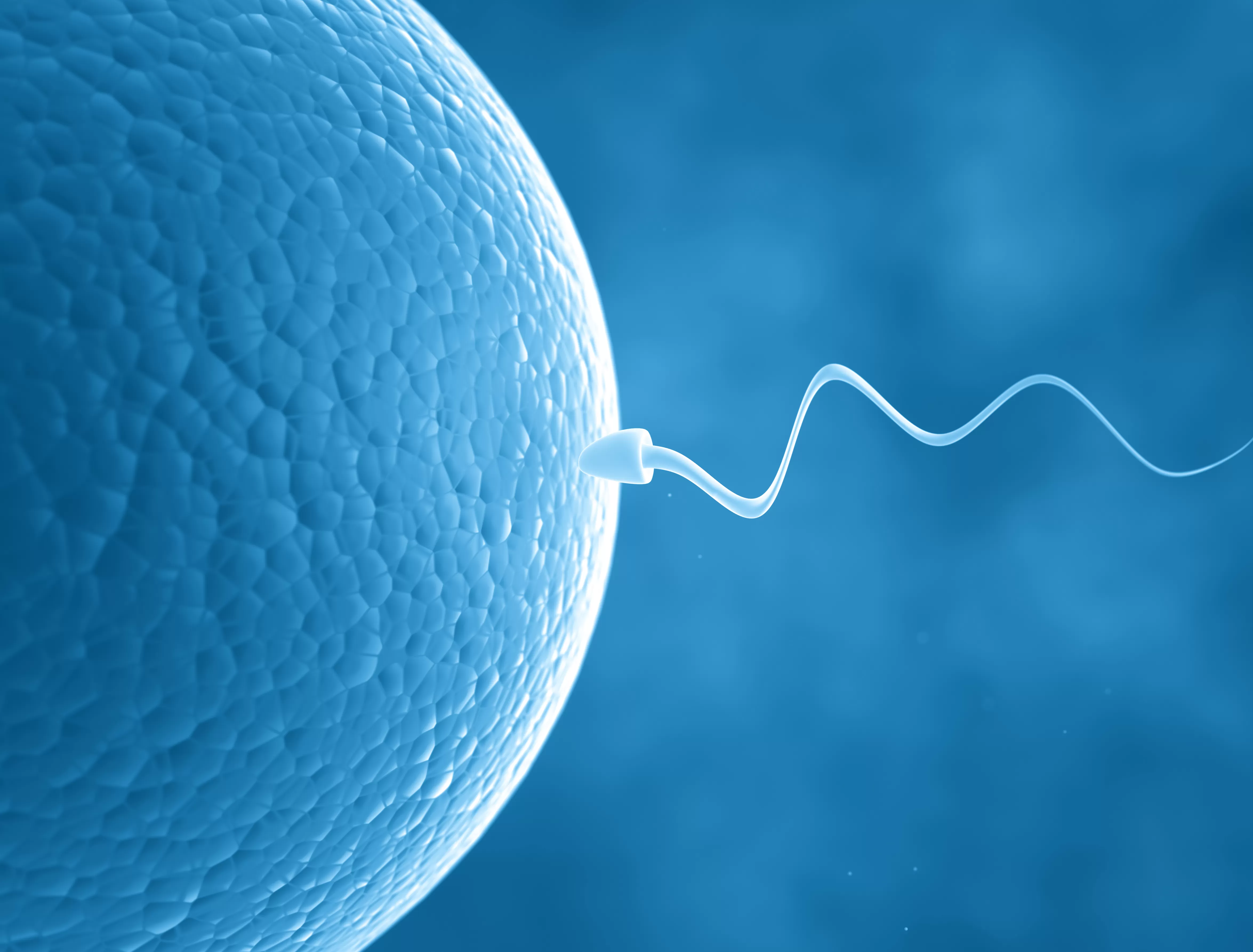 Sperm Yetersizliğinde Nasıl Bir Yöntem İzlenir?