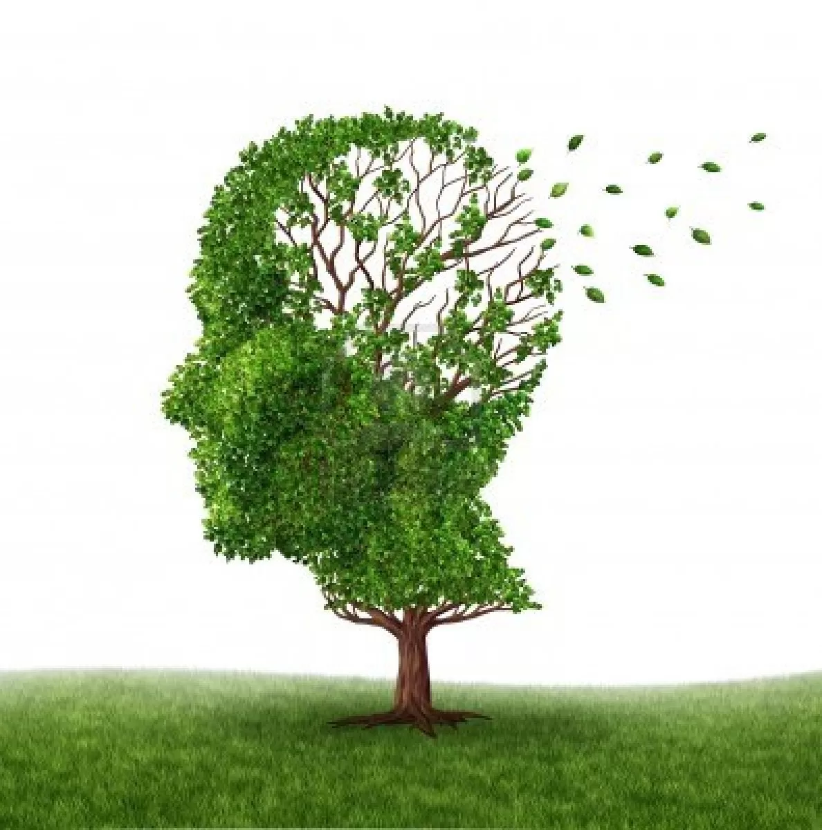 Vücudumuzda D Vitamini Eksikliği Alzheimer Riskini Arttırır