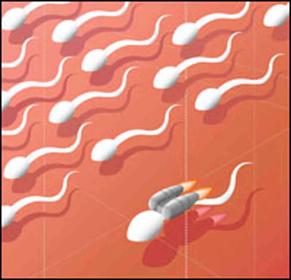 Aşırı Spor Spermlere Nasıl Etki Yapar?