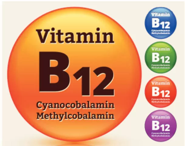 B12 Vitamini Normal Değerleri