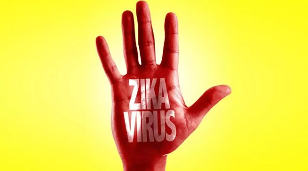 Dünya Sağlık Örgütü WHO Hamile Bireyleri Zika Virüsü İçin Uyarıyor!