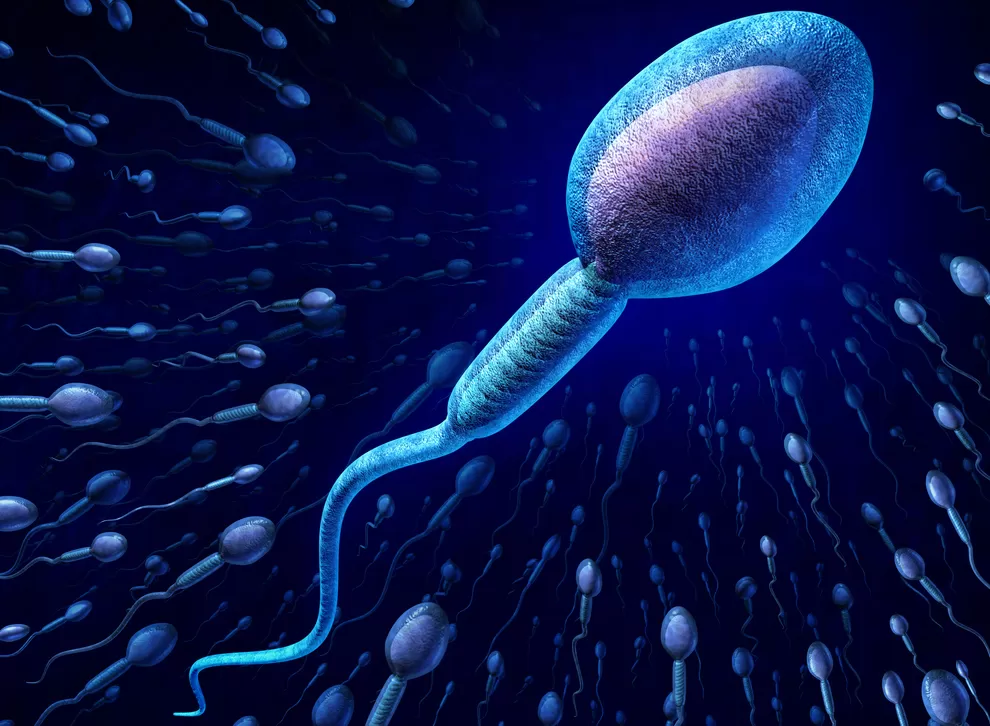 Kısırlığa Yeni Bir Umut: Spermbot
