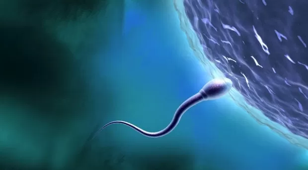 Çocuğu Olmayan Çiftlere Yapılan İnfertilite Testleri