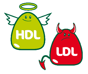 İyi Kolesterol ( HDL) Nedir? HDL Ne İşe Yarar?