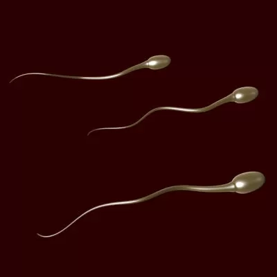Kruger Yöntemi (Metodu) İle Spermiogram Nedir?