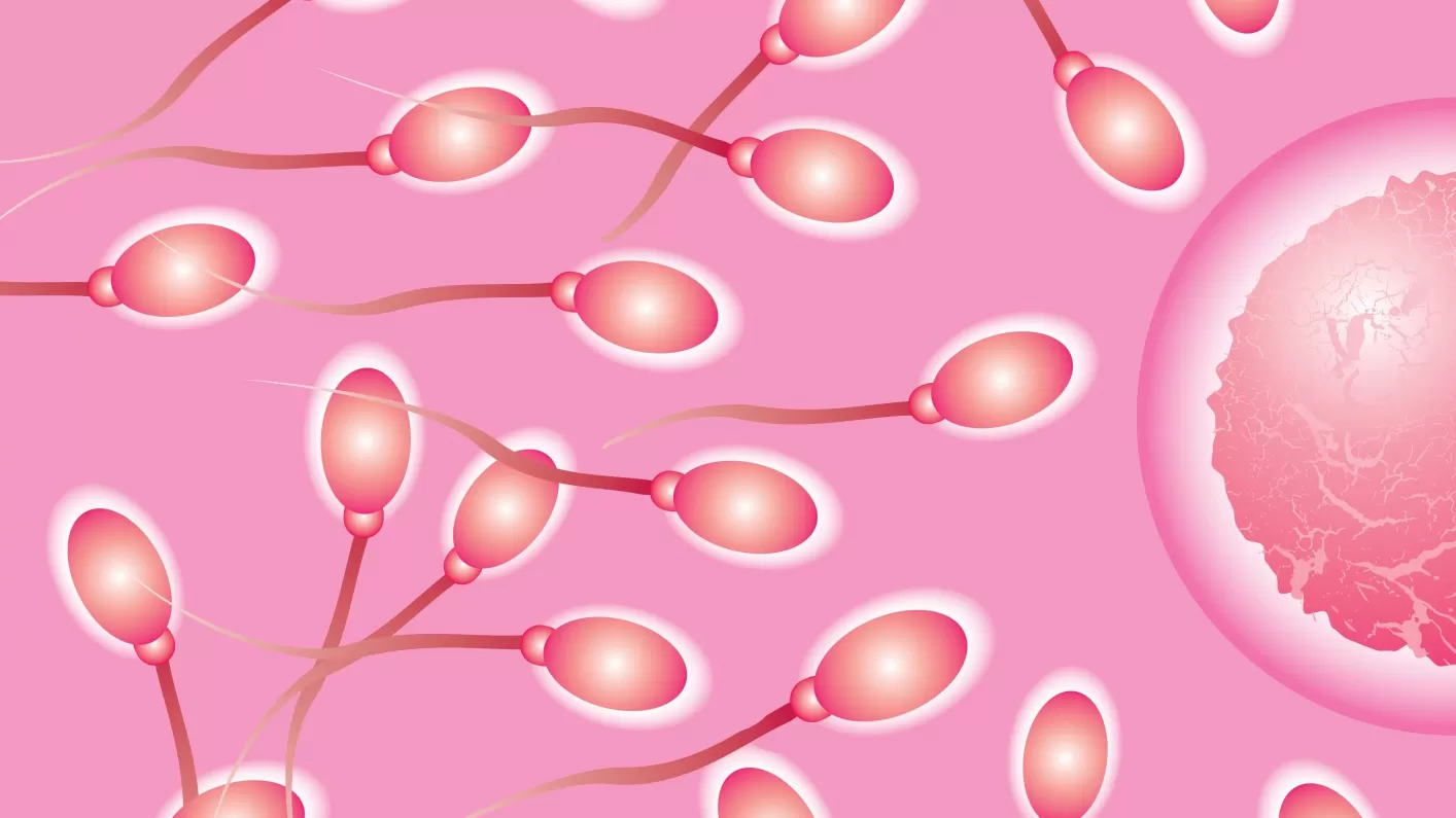Sperm Sayısındaki Düşüşü Önlemek İçin 5 Öneri